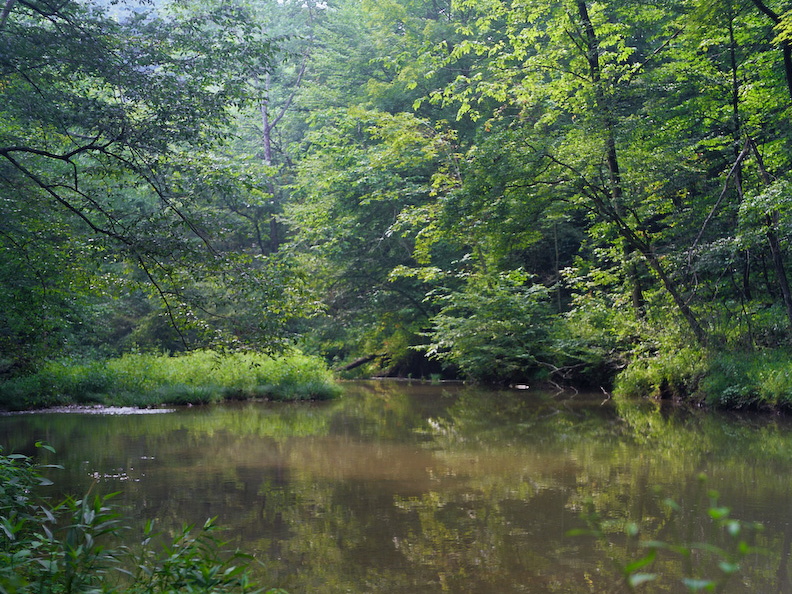 Sheltowee Trace reflections